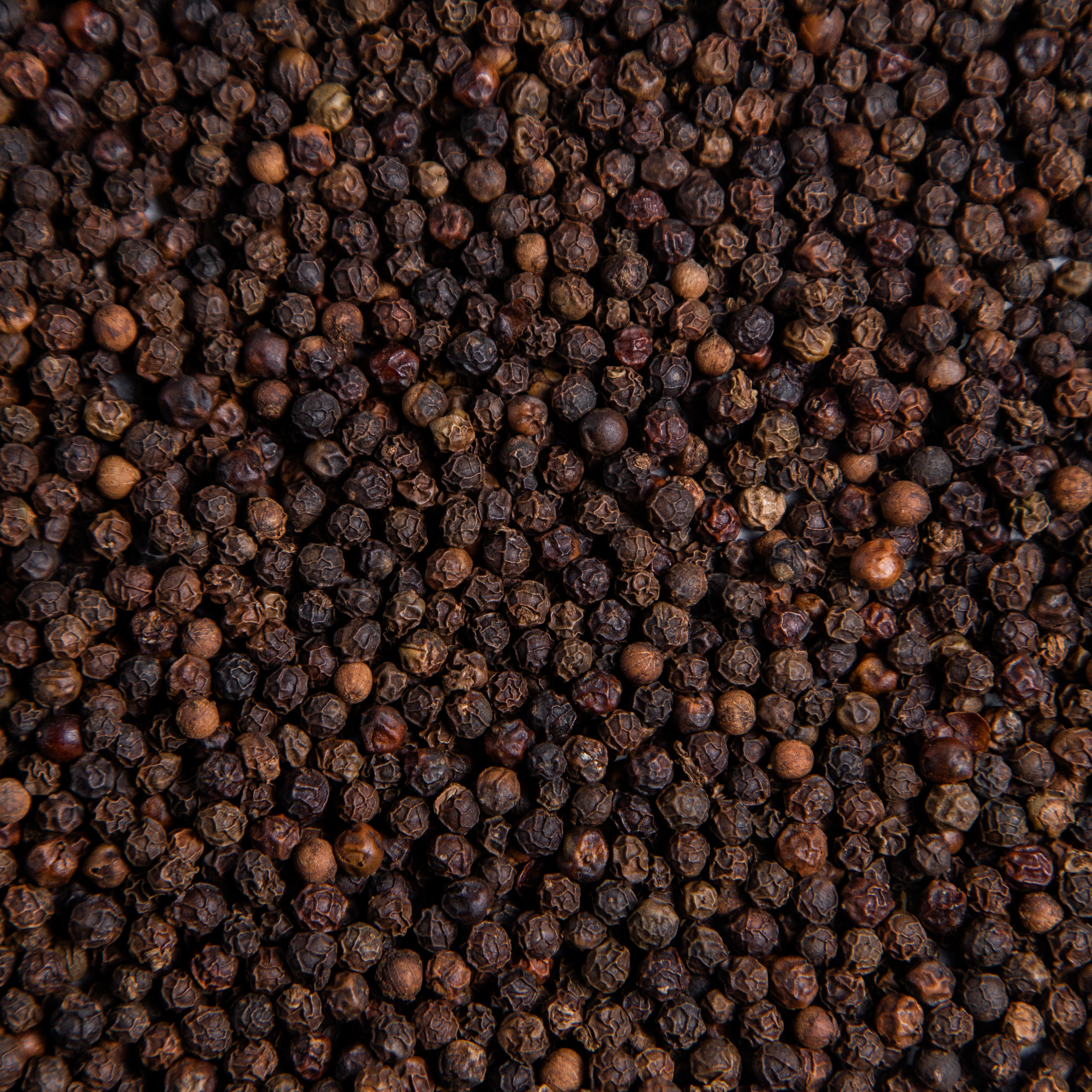 Black Pepper