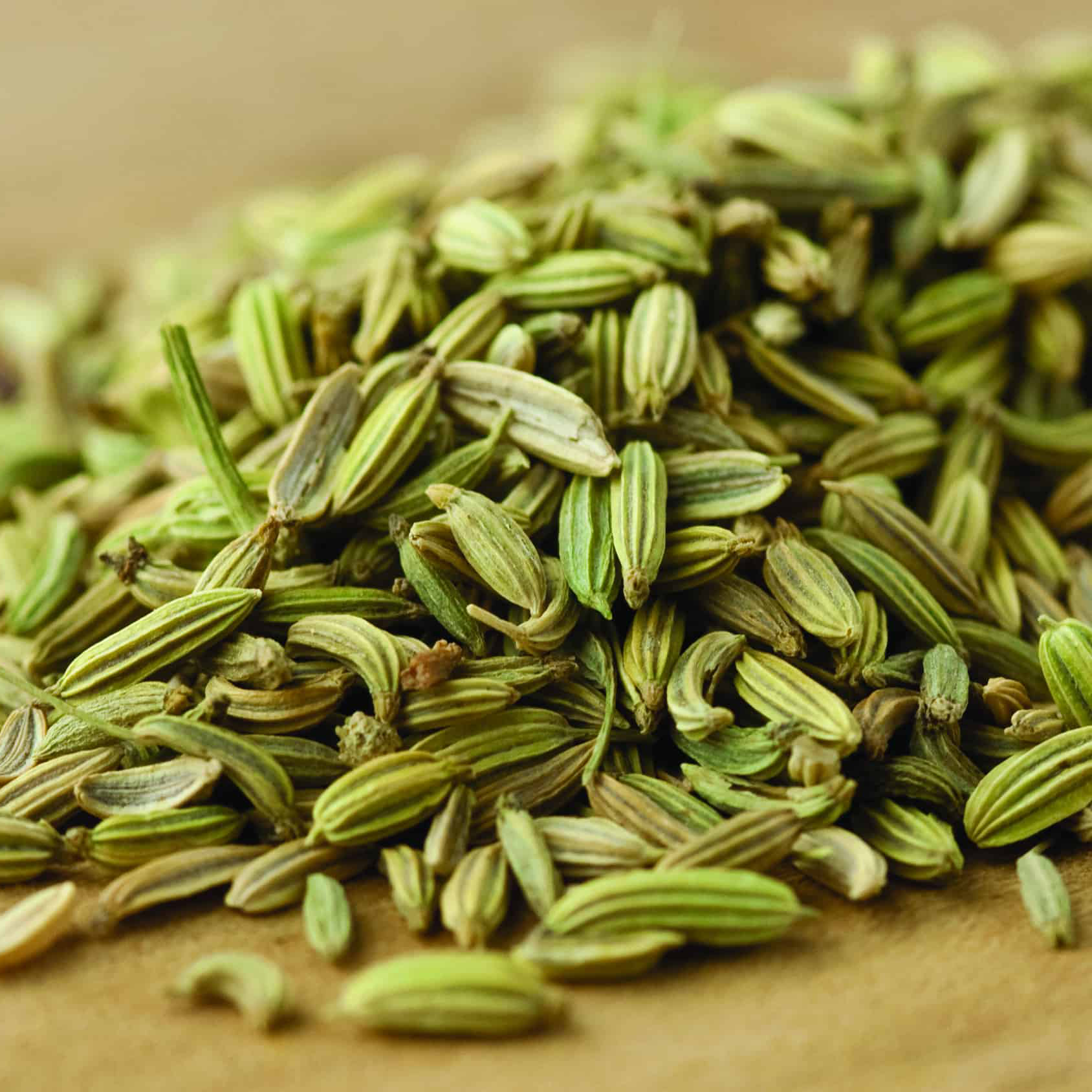 Fennel Seed