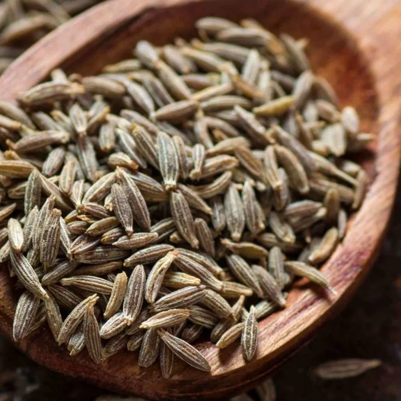 Cumin Seed