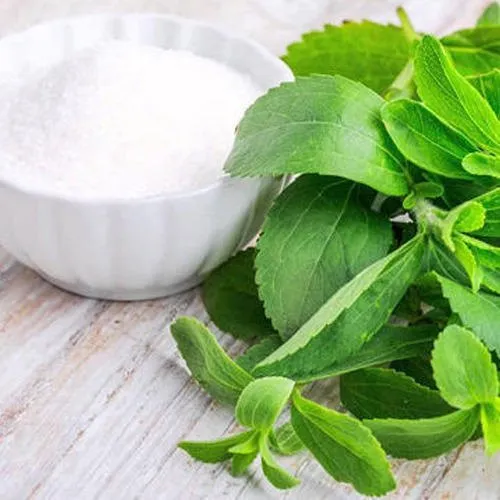 Stevia 25gm